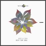 poster Never Know (Original Mix) Deep for Soul