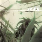 album image When I'm Not Around Awakening