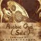 Yasser Farouk - Arabic Oud & Piano