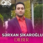 poster Dilber Dilber