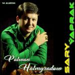 poster Sary Ýaprak Sary Ýaprak 14 Albom