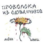 poster Ведьм у нас сжигают Проволока из одуванчиков