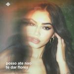 poster Posso Ate Nao Te Dar Flores Posso Ate Nao Te Dar Flores