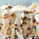 Chillmore, Lesfm - Mushrooms