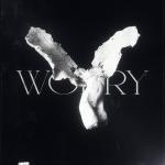 poster worry (ultra slowed) worry (ultra slowed)