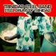 Jamaican Steel Band - Wedding March